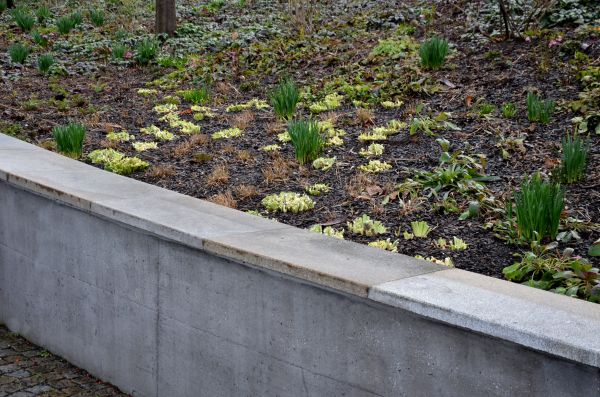 Cost of Concrete Wall Construction in High Point