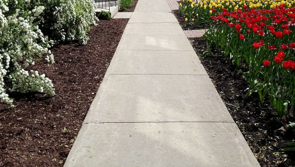 Cost of Sidewalk Slab Replacement in High Point